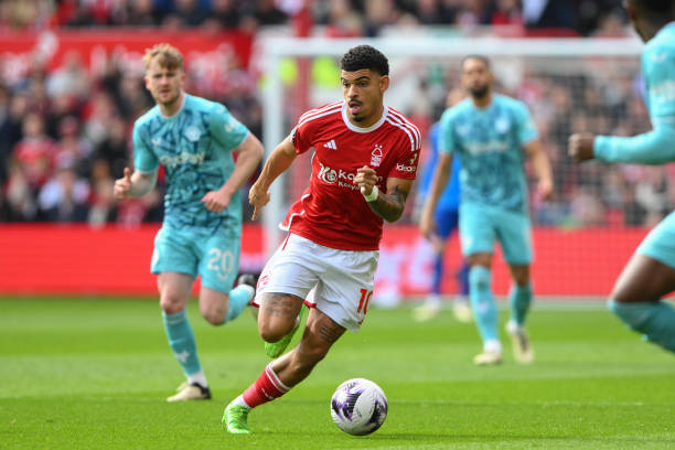 着数不清的 着数不清的