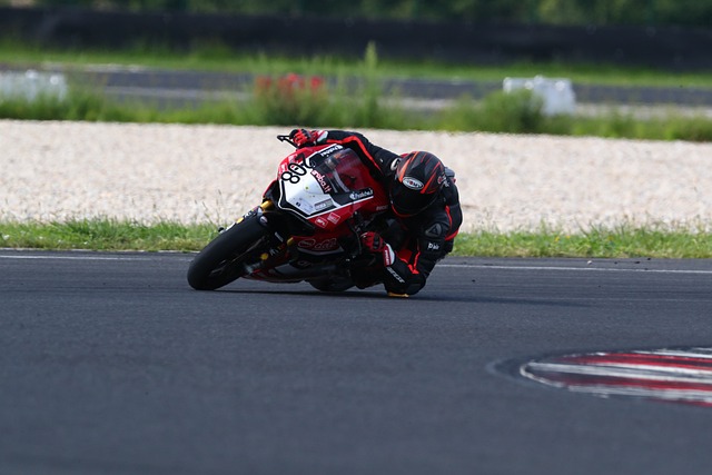 的精彩表现 的精彩表现